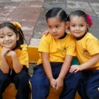 gall-Valores-270x228 gall-Valores-270x228